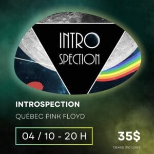Introspection Pink Floyd